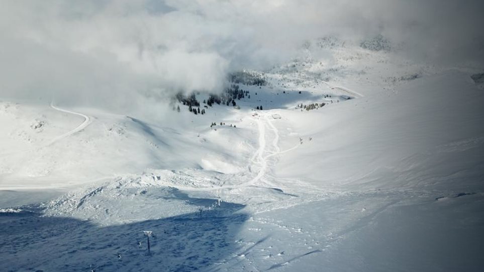 Ελβετία: Ζευγάρι καταπλακώθηκε από χιονοστιβάδα και σώθηκε χάρη στα σκυλιά του - Φωτογραφία 1