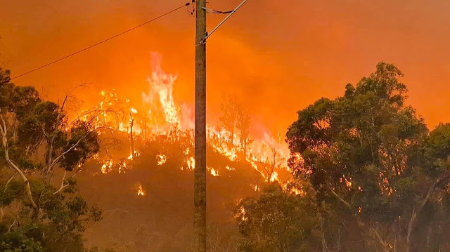 Πύρινη κόλαση στην Αυστραλία: Στις φλόγες τα περίχωρα του Περθ - Καταστράφηκαν σπίτια - Φωτογραφία 1