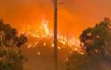 Πύρινη κόλαση στην Αυστραλία: Στις φλόγες τα περίχωρα του Περθ - Καταστράφηκαν σπίτια