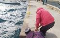 Λέρος: Εντοπίστηκε τραυματισμένη καρέτα - καρέτα στο λιμάνι -  βίντεο - Φωτογραφία 4