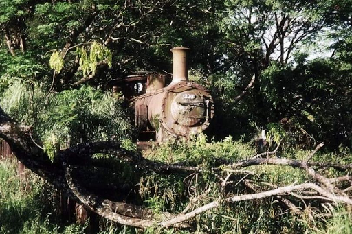 Ατμομηχανή της Γλασκόβης βρέθηκε εγκαταλελειμμένη στη μέση του δάσους στην Παραγουάη. - Φωτογραφία 1