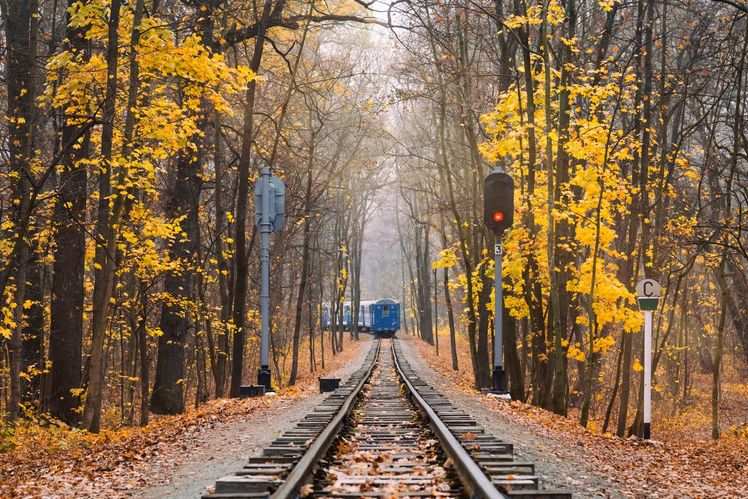 5 γραφικά ταξίδια με τρένο στον κόσμο την εποχή που πέφτουν τα φύλλα. - Φωτογραφία 1