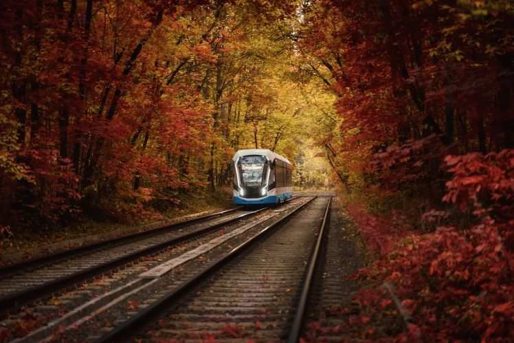 5 γραφικά ταξίδια με τρένο στον κόσμο την εποχή που πέφτουν τα φύλλα. - Φωτογραφία 3