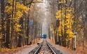 5 γραφικά ταξίδια με τρένο στον κόσμο την εποχή που πέφτουν τα φύλλα.