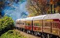 5 γραφικά ταξίδια με τρένο στον κόσμο την εποχή που πέφτουν τα φύλλα. - Φωτογραφία 6