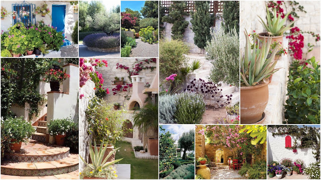 Μεσογειακός Κήπος: Στοιχεία, υλικά, φυτά και προτάσεις για την διαμόρφωσή του - Φωτογραφία 1