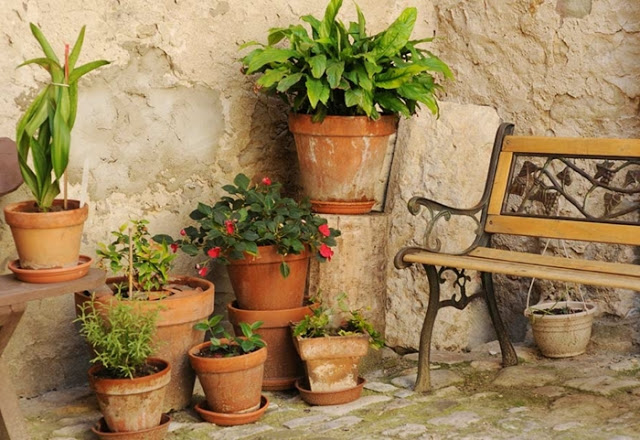 Μεσογειακός Κήπος: Στοιχεία, υλικά, φυτά και προτάσεις για την διαμόρφωσή του - Φωτογραφία 14