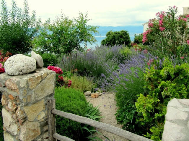 Μεσογειακός Κήπος: Στοιχεία, υλικά, φυτά και προτάσεις για την διαμόρφωσή του - Φωτογραφία 4