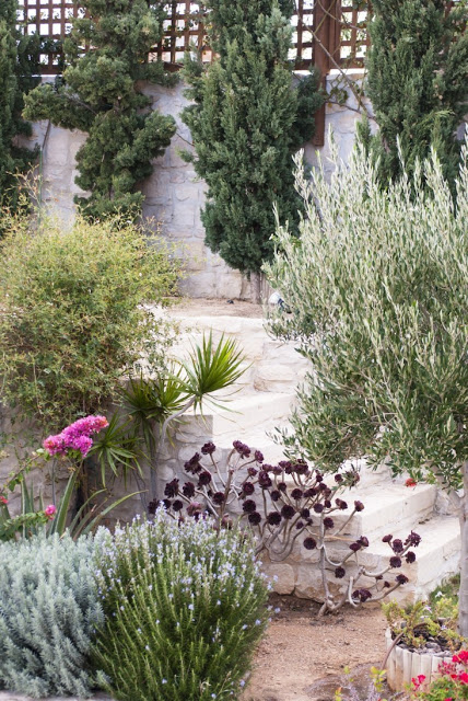 Μεσογειακός Κήπος: Στοιχεία, υλικά, φυτά και προτάσεις για την διαμόρφωσή του - Φωτογραφία 6