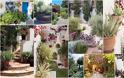 Μεσογειακός Κήπος: Στοιχεία, υλικά, φυτά και προτάσεις για την διαμόρφωσή του