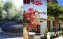 Μεσογειακός Κήπος: Στοιχεία, υλικά, φυτά και προτάσεις για την διαμόρφωσή του - Φωτογραφία 2