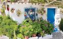 Μεσογειακός Κήπος: Στοιχεία, υλικά, φυτά και προτάσεις για την διαμόρφωσή του - Φωτογραφία 7