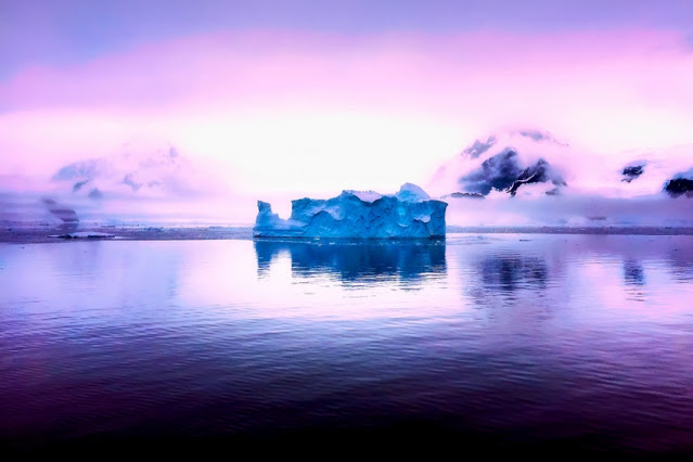 Άγνωστα πλάσματα βρέθηκαν τυχαία κάτω από τους πάγους της Ανταρκτικής - Φωτογραφία 1