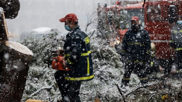 Κακοκαιρία Μήδεια:  Άνδρας έχασε την ζωή του στην Εύβοια - Καταπλακώθηκε από δέντρο - Φωτογραφία 1