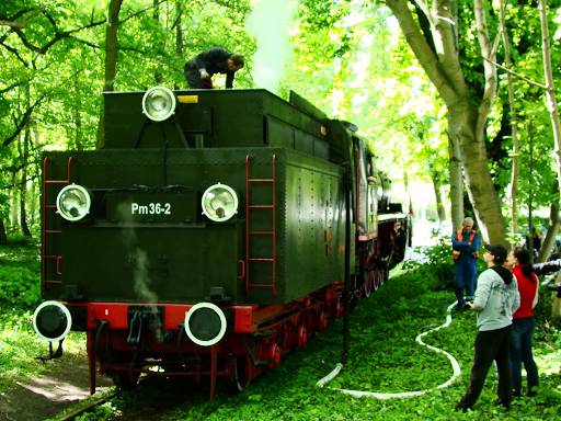PKP Class Pm36 – η «ωραία Ελένη» των πολωνικών σιδηροδρόμων. Δείτε εικόνες και video. - Φωτογραφία 4