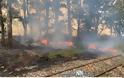 Ναυπακτία – Κρυονέρι: Κάηκε σκεπή από παλιό σταθμό του ΟΣΕ – Απειλήθηκαν σπίτια από την μεγάλη φωτιά. Εικόνες και βίντεο. - Φωτογραφία 3
