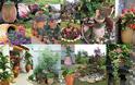 Διαμόρφωση - διακοσμήσεις κήπου με Πήλινες γλάστρες - Πιθάρια