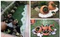 Διαμόρφωση - διακοσμήσεις κήπου με Πήλινες γλάστρες - Πιθάρια - Φωτογραφία 11