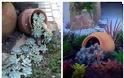 Διαμόρφωση - διακοσμήσεις κήπου με Πήλινες γλάστρες - Πιθάρια - Φωτογραφία 20