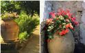 Διαμόρφωση - διακοσμήσεις κήπου με Πήλινες γλάστρες - Πιθάρια - Φωτογραφία 5