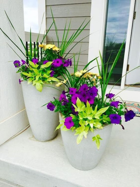 Ιδέες για να συνδυάσετε Ανοιξιάτικα λουλούδια στην ίδια γλάστρα - Φωτογραφία 12