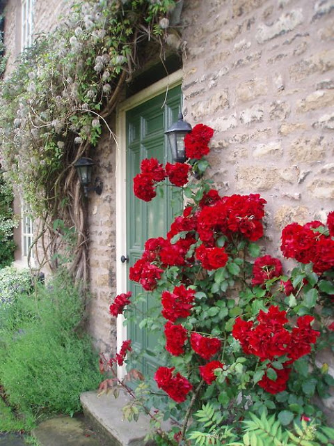 Κόκκινες ...Πινελιές στην αυλή ή το μπαλκόνι σας - Φωτογραφία 29