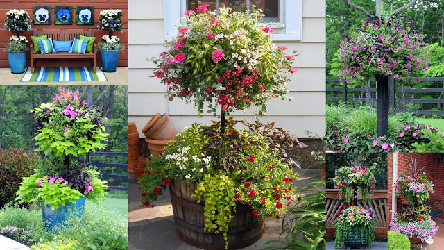 Μεγαλώστε τον διαθέσιμο χώρο σας για φυτά με DIY γλάστρες ...ανθοστήλες - Φωτογραφία 1