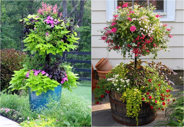 Μεγαλώστε τον διαθέσιμο χώρο σας για φυτά με DIY γλάστρες ...ανθοστήλες - Φωτογραφία 3