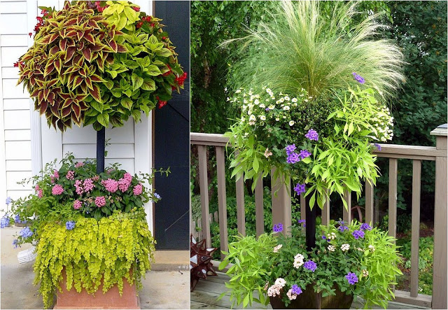 Μεγαλώστε τον διαθέσιμο χώρο σας για φυτά με DIY γλάστρες ...ανθοστήλες - Φωτογραφία 7
