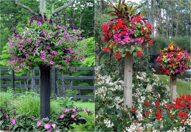 Μεγαλώστε τον διαθέσιμο χώρο σας για φυτά με DIY γλάστρες ...ανθοστήλες - Φωτογραφία 9