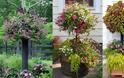 Μεγαλώστε τον διαθέσιμο χώρο σας για φυτά με DIY γλάστρες ...ανθοστήλες - Φωτογραφία 2