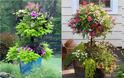Μεγαλώστε τον διαθέσιμο χώρο σας για φυτά με DIY γλάστρες ...ανθοστήλες - Φωτογραφία 3
