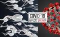 Έρευνα: Ο κορονοϊός SARS-CoV-2 δεν ανιχνεύεται στο ανθρώπινο σπέρμα