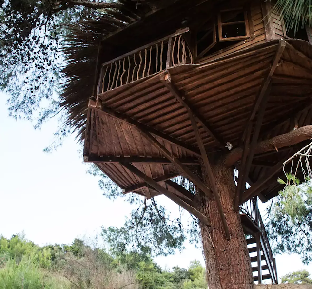 Ένα από τα ομορφότερα δεντρόσπιτα του κόσμου βρίσκεται στην Αμαλιάδα - Φωτογραφία 3