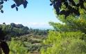 Ένα από τα ομορφότερα δεντρόσπιτα του κόσμου βρίσκεται στην Αμαλιάδα - Φωτογραφία 13