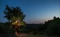 Ένα από τα ομορφότερα δεντρόσπιτα του κόσμου βρίσκεται στην Αμαλιάδα - Φωτογραφία 2