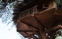 Ένα από τα ομορφότερα δεντρόσπιτα του κόσμου βρίσκεται στην Αμαλιάδα - Φωτογραφία 3