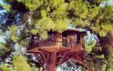 Ένα από τα ομορφότερα δεντρόσπιτα του κόσμου βρίσκεται στην Αμαλιάδα - Φωτογραφία 4