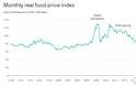 Παγκόσμια ανησυχία για αστάθεια από τις συνεχείς αυξήσεις στις τιμές τροφίμων, για ένατο συνεχόμενο μήνα - Φωτογραφία 2