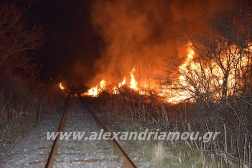 Ακινητοποιήθηκε τρένο λόγω φωτιάς στον Σιδηροδρομικό Σταθμό Αλεξάνδρειας. - Φωτογραφία 1