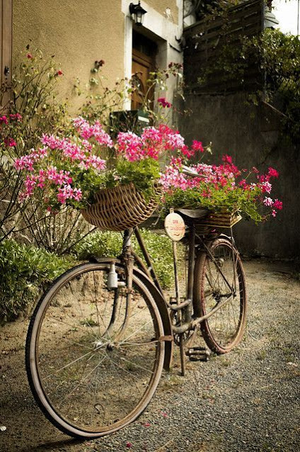 Διαμορφώσεις εξωτερικών χώρων με παλιά Ποδήλατα  και Καρότσια κήπου - Φωτογραφία 20