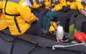 Πηγκουίνος πήδηξε σε βάρκα με τουρίστες για να σωθεί από φάλαινα (Video)