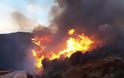 Φωτιά στην Άνδρο: Εκκενώθηκαν χωριά, ενισχύονται οι δυνάμεις - «Ανεξέλεγκτο το μέτωπο», λέει ο δήμαρχος