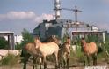 15 πράγματα που δεν ξέρεις για το Τσερνόμπιλ - Φωτογραφία 5