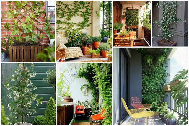 Ιδέες και τρόποι για να ομορφύνετε τους τοίχους στο Καλοκαιρινό Μπαλκόνι σας - Φωτογραφία 3