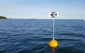 Επιστήμονες έφτιαξαν πλωτό σκιάχτρο για να μην πιάνονται τα θαλασσοπούλια σε δίχτυα
