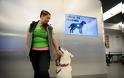 Σκύλοι εκπαιδεύονται να «μυρίζουν» τον κορονοϊό. Ήδη χρησιμοποιούνται στην Φινλανδία