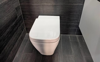 «Έξυπνη» τουαλέτα με τεχνητή νοημοσύνη που εντοπίζει προβλήματα υγείας - Φωτογραφία 1