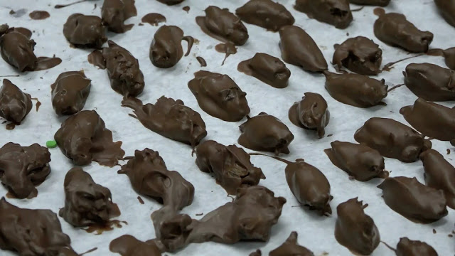Εξωτική λιχουδιά: Τζιτζίκια καλυμμένα με σοκολάτα προσφέρει ζαχαροπλαστείο στις ΗΠΑ - Φωτογραφία 1