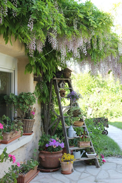 Καλοκαιρινές διαμορφώσεις για  Κήπο - Μπαλκόνι - Φωτογραφία 24